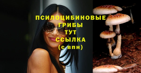 a pvp Магас