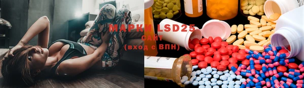 PSILOCYBIN Валдай