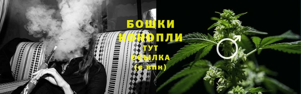 PSILOCYBIN Валдай