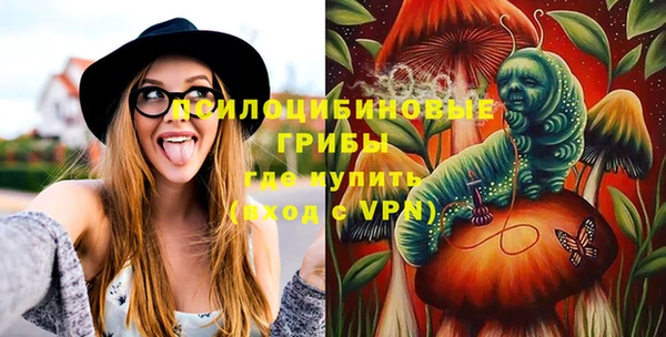 a pvp Магас