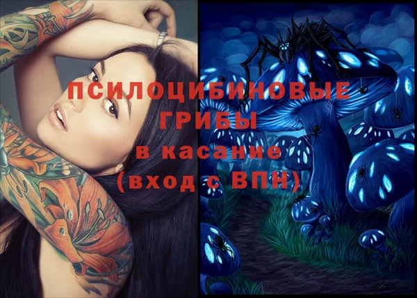 a pvp Магас